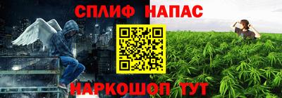 a pvp Лесной