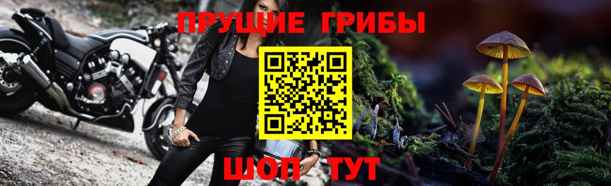 Галлюциногенные грибы MAGIC MUSHROOMS  Вход с VPN  Белорецк 